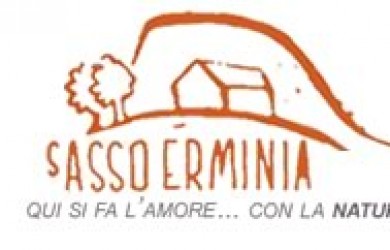 SassoErminia Logo - Andrea Zanzini
